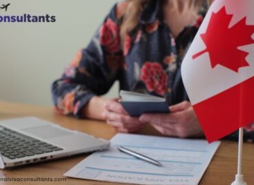 Immigration Options for Skilled Professionals Abroad