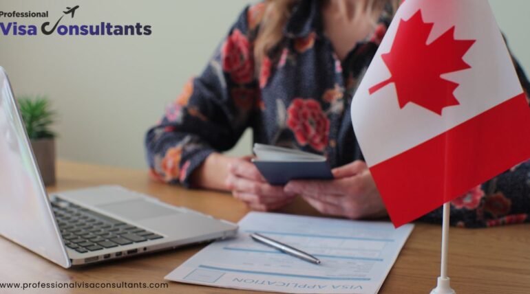 Complete Guide to Immigration Options for Skilled Professionals Abroad